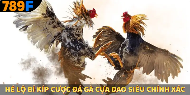 Đá Gà Cựa Sắt 789F - Sân Chơi Uy Tín Tỷ Lệ Cao Nhất Việt Nam 3 Hé lộ bí kíp cược đá gà cựa dao siêu chính xác