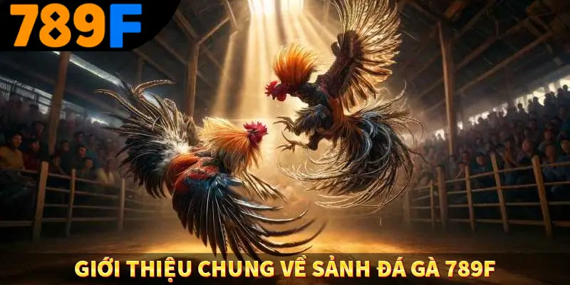 Giới thiệu chung về sảnh đá gà 789F