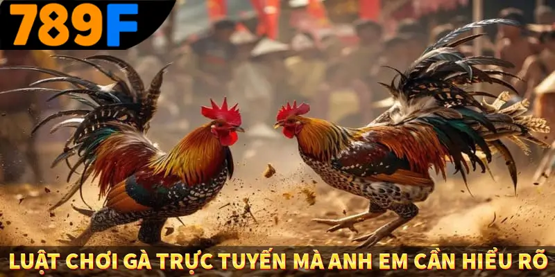 Luật chơi gà trực tuyến mà anh em cần hiểu rõ Luật chơi gà trực tuyến mà anh em cần hiểu rõ