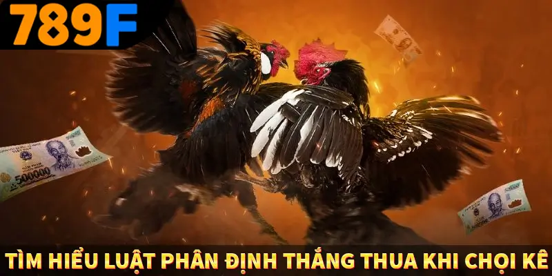 Tìm hiểu luật phân định thắng thua khi chọi kê Tìm hiểu luật phân định thắng thua khi chọi kê