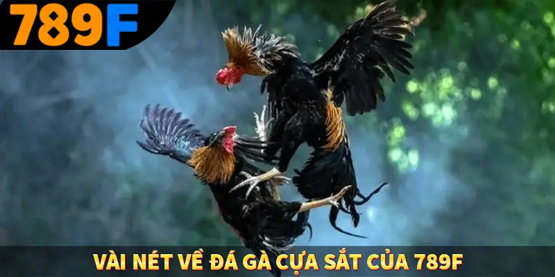Luật Chơi Đá Gà - Quy Định Thiết Yếu Tại Trường Kê Tại 789F 1 Vài nét về đá gà cựa sắt của 789F