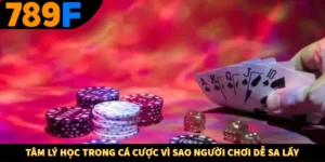 Tâm Lý Học Trong Cá Cược Vì Sao Người Chơi Dễ Sa Lầy