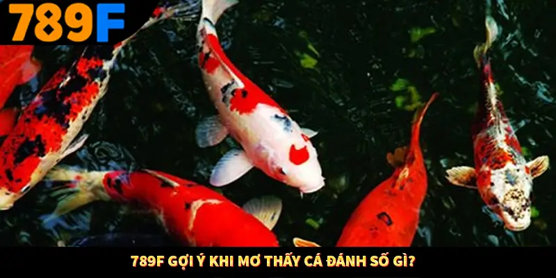 789F gợi ý khi mơ thấy cá đánh số gì?