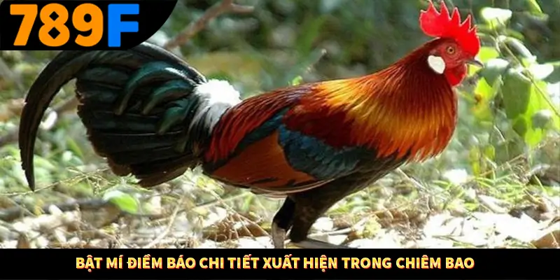 Mơ Thấy Ô Tô Đánh Số Gì - Luận Giải Chiêm Bao Với 789F 2 Bật mí điềm báo chi tiết xuất hiện trong chiêm bao