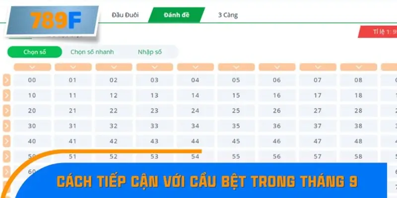Nhận Định Kèo Tối Nay Tại 789F - Đội Nào Dễ Chiến Thắng 3 Cách tiếp cận an toàn với cầu bệt trong tháng 9