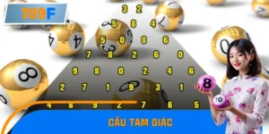 Cầu Tam Giác