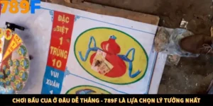 Chơi Bầu Cua Ở Đâu Dễ Thắng - 789F Là Lựa Chọn Lý Tưởng Nhất