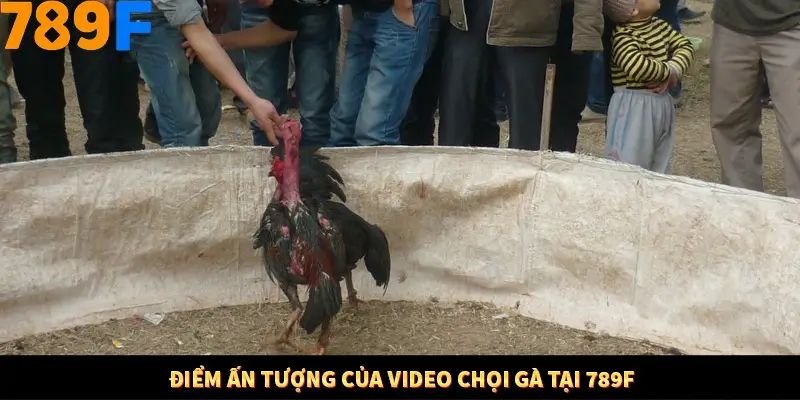 Nhận Định Kèo Tối Nay Tại 789F - Đội Nào Dễ Chiến Thắng 2 Điểm ấn tượng của video chọi gà tại 789F