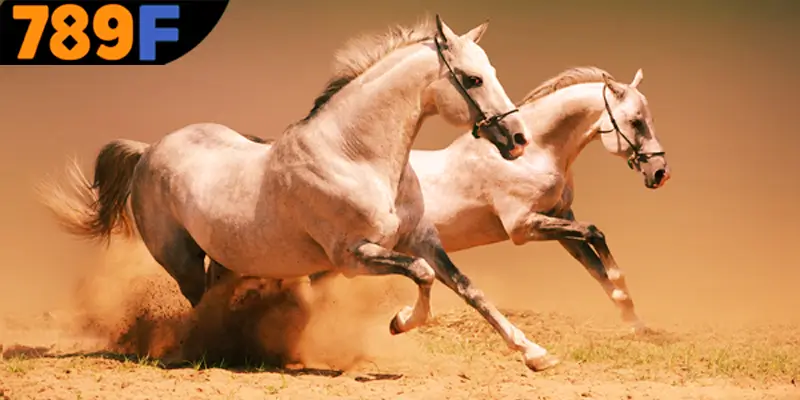 Mơ Thấy Ô Tô Đánh Số Gì - Luận Giải Chiêm Bao Với 789F 1 Giải mã thông tin chi tiết về việc mơ thấy ngựa đánh số gì?