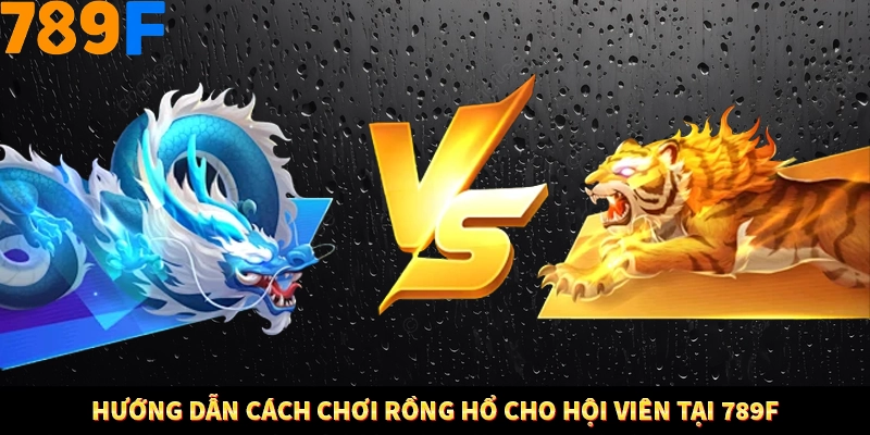 Hướng dẫn cách chơi rồng hổ cho hội viên tại 789F