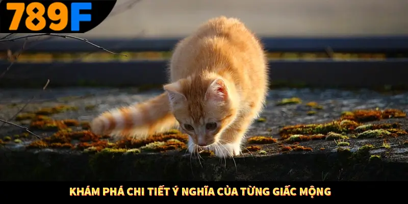 Mơ Thấy Ô Tô Đánh Số Gì - Luận Giải Chiêm Bao Với 789F 2 Khám phá chi tiết ý nghĩa của từng giấc mộng