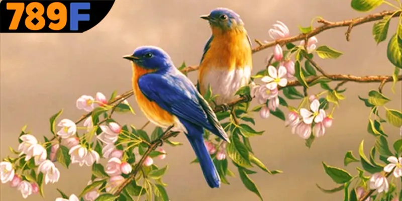 Mơ Thấy Ô Tô Đánh Số Gì - Luận Giải Chiêm Bao Với 789F 3 Mơ thấy chim đánh số gì may mắn nhất từ 789F