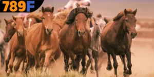 Mơ Thấy Ngựa Đánh Số Gì - Giải Mã Điềm Báo Và Con Lô Chuẩn