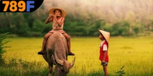 Mơ Thấy Trâu Đánh Số Gì - Giải Mã Điềm Báo Cùng 789F