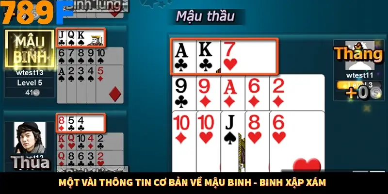 Một vài thông tin cơ bản về mậu binh - binh xập xám