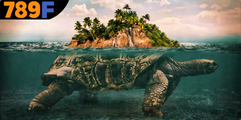 Mơ Thấy Ô Tô Đánh Số Gì - Luận Giải Chiêm Bao Với 789F 1 Nằm mơ thấy rùa mang lại điềm báo tốt hay xấu