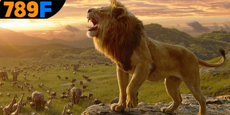 Ý nghĩa quan trọng về việc mơ thấy con sư tử đánh số gì?