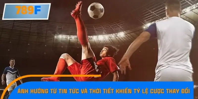 Ảnh hưởng từ tin tức và yếu tố thời tiết Ảnh hưởng từ tin tức và yếu tố thời tiết