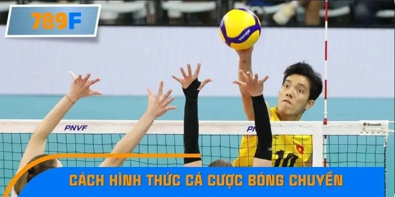 Cách hình thức cá cược bóng chuyền Cách hình thức cá cược bóng chuyền
