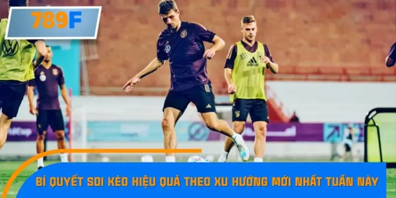 Nhận Định Kèo Tối Nay Tại 789F - Đội Nào Dễ Chiến Thắng 3 Kiểm tra biến động kèo trước giờ thi đấu