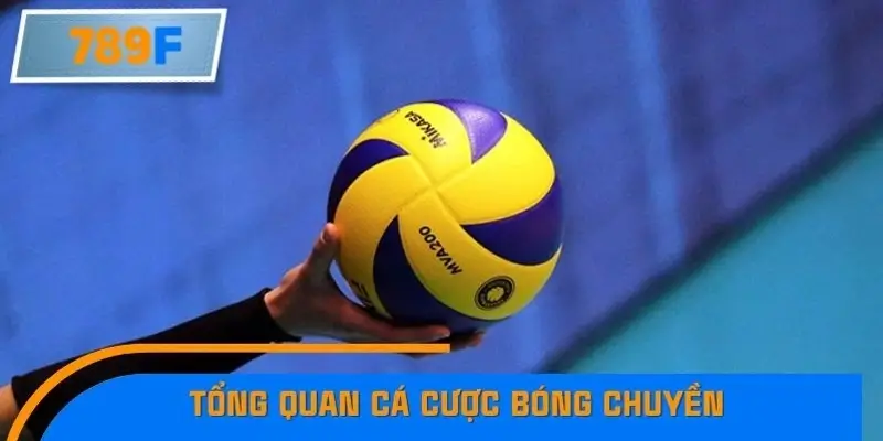 Tổng quan cá cược bóng chuyền Tổng quan cá cược bóng chuyền