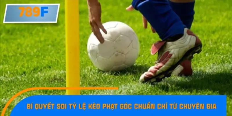 Dựa vào thực lực và phong độ